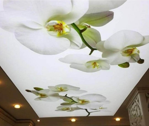 tavane extensibile 3d 24